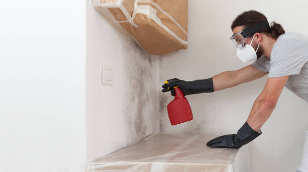 Professional Mold Removal technician working in Caledonia, MI
