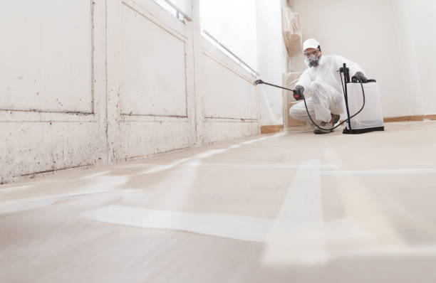 24/7 Emergency Mold Removal experts in Caledonia, MI